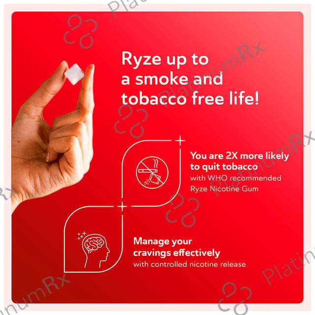 Ryze Nicotine Gums 2mg (9 Each) Fruit Blast