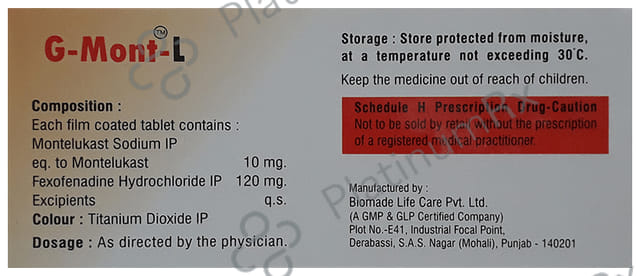 G Mont L 120/10mg Tablet 10s