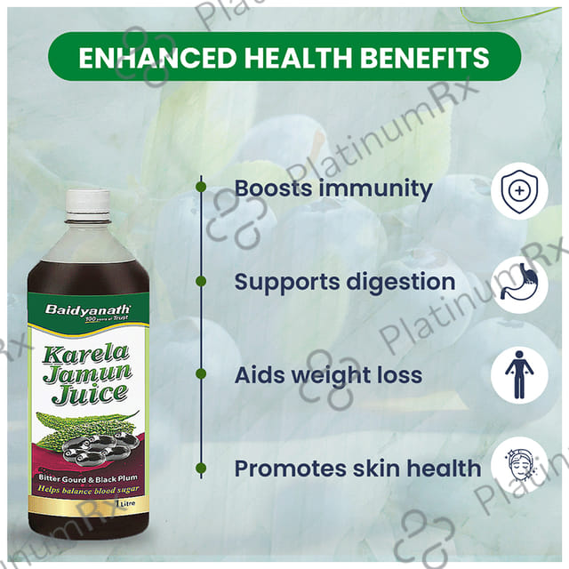 Baidyanath (Noida) Karela Jamun Juice