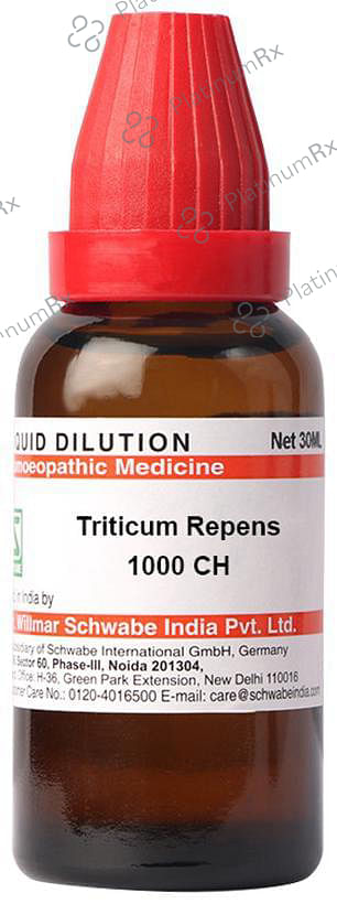 Dr Willmar Schwabe India Triticum Repens Dilution 1000 CH