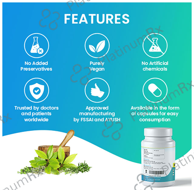 AyurZen Capsule (60 Each) 1 Bottle