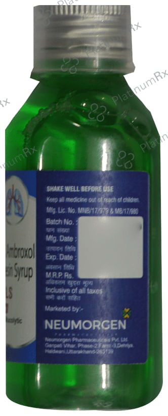 Bekoff-LS Syrup Sugar Free