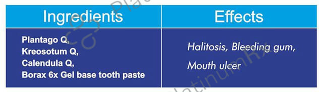 Fourrts Gum Forte Gel Homoeopathic Toothpaste