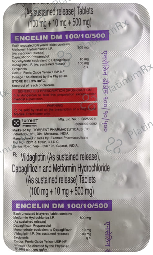 Encelin DM 100/10/500mg Tablet SR 10s