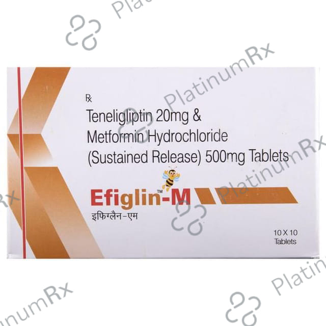 Efiglin M 500/20mg Tablet ER 10s