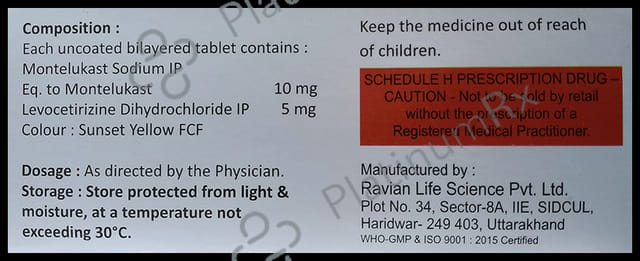 Anhist 10/5mg Tablet 10s