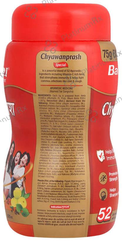 Baidyanath Noida Chyawanprash Special 575gm