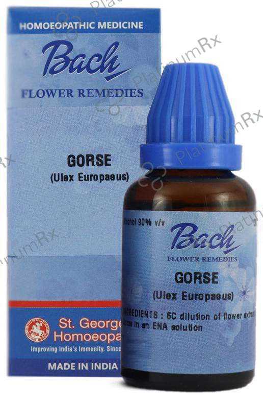 St. George’s Bach Flower Gorse 6 CH 100 ml