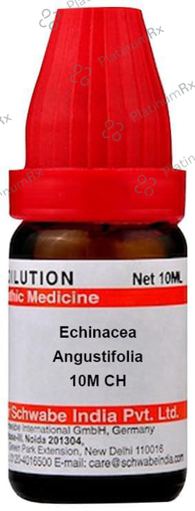 Dr Willmar Schwabe India Echinacea Angustifolia Dilution 10M CH