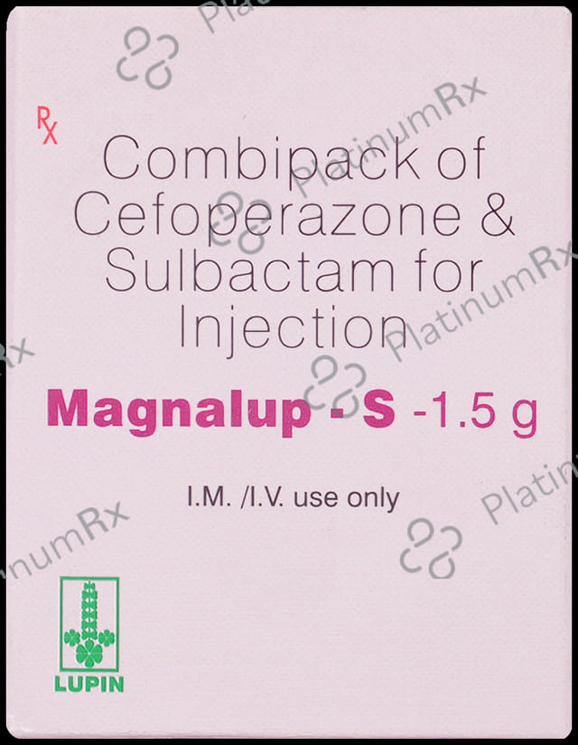 Magnalup S 1000mg/500mg Injection