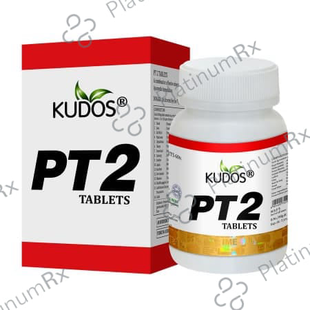Kudos PT2 Tablet