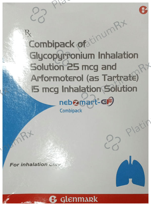 Nebzmart GF 15/25mcg Combipack 1ml