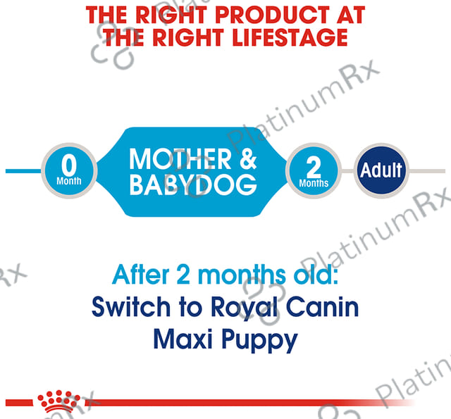Royal Canin Maxi Dog Pet Food Starter 15 kg
