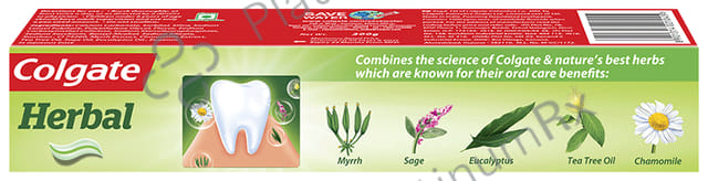 Colgate Herbal Anticavity Toothpaste 200 gm