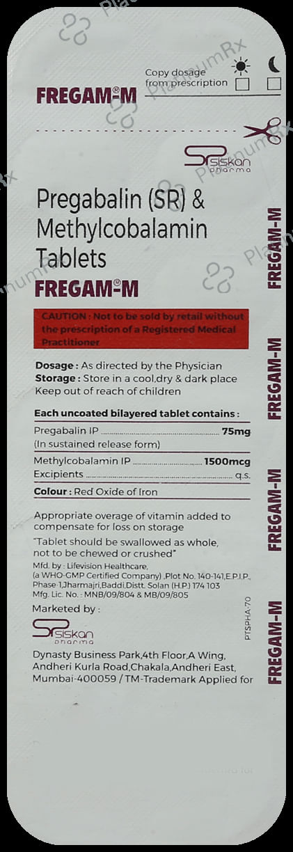 Fregam-M Tablet SR