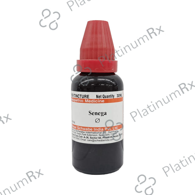 Dr Willmar Schwabe India Senega Mother Tincture Q