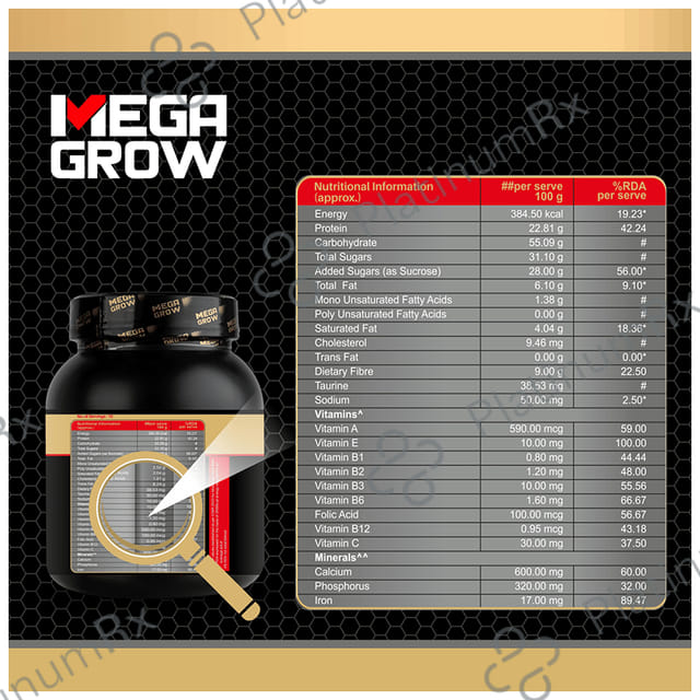Megagrow Mass Gainer Milk Chocolate