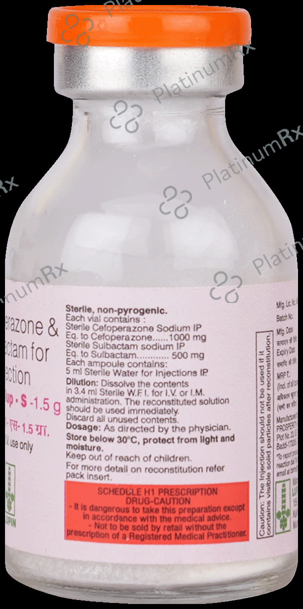 Magnalup S 1000mg/500mg Injection