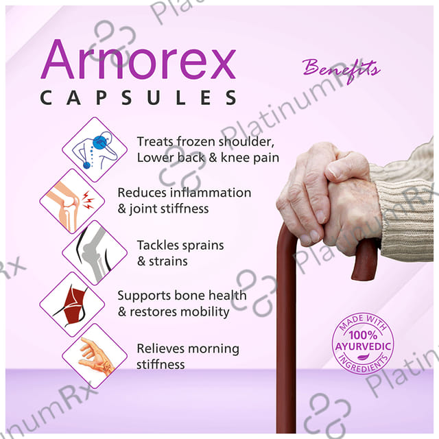 Arnorex Capsule (10 Each) 1 Bottle
