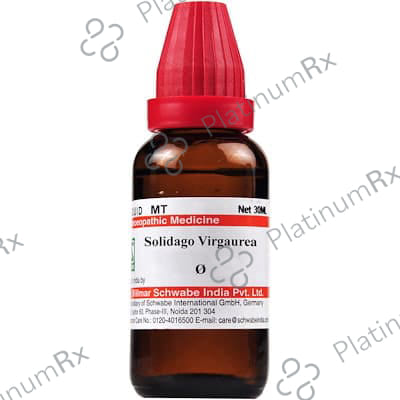 Dr Willmar Schwabe India Solidago Virgaurea Mother Tincture Q