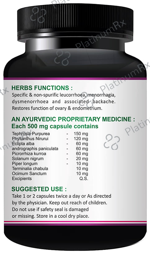 Sabates Leucwell Capsule