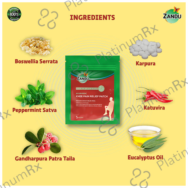 Zandu Ayurvedic Knee Pain Relief Patch