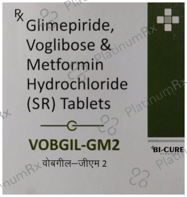 Vobgil-GM2 Tablet SR