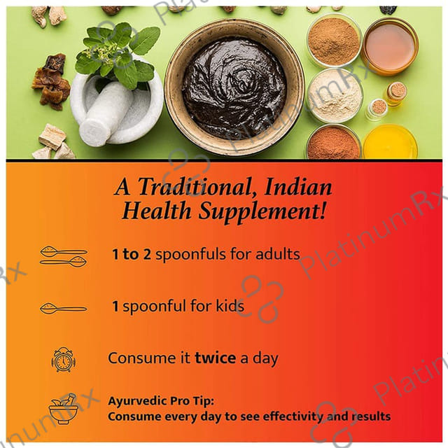 Baidyanath Chyawanprash Special Immunity Booster 1kg