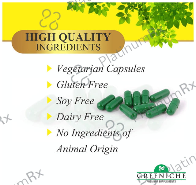 Greeniche Omega 3 Fish Oil Softgel Capsule 60s