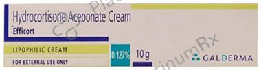 Efficort Cream 10gm