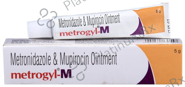 Metrogyl M Ointment 5gm