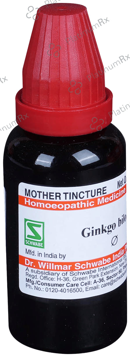 Dr Willmar Schwabe India Ginkgo Biloba Mother Tincture Q