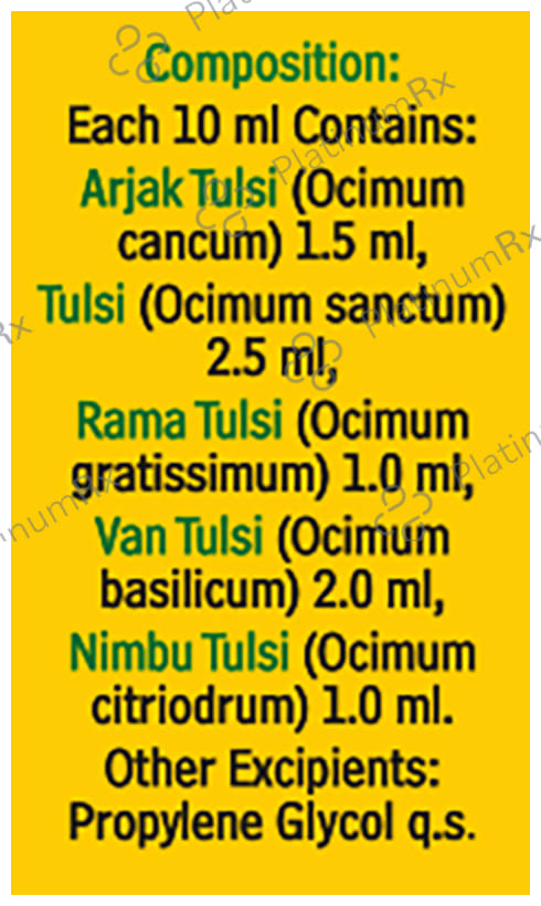 Baidyanath (Noida) Panch Tulsi (Amrit Tulsi) Drop Immunity Booster