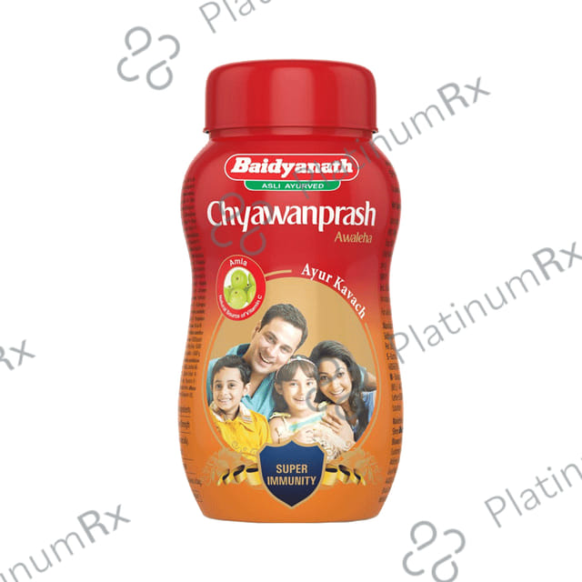 Baidyanath Nagpur Chyawanprash Special 450gm