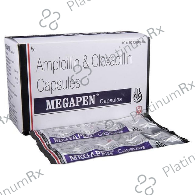 Megapen 250/250mg Capsule 10s