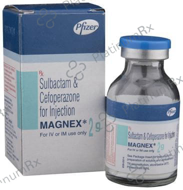 Magnex 2gm Injection 1s