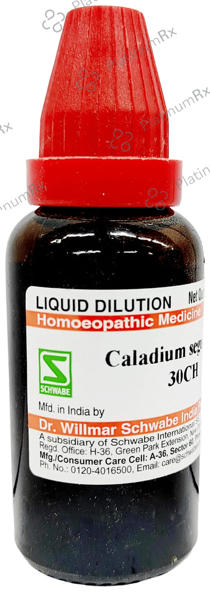 Dr Willmar Schwabe India Caladium Seguinum Dilution 30 CH