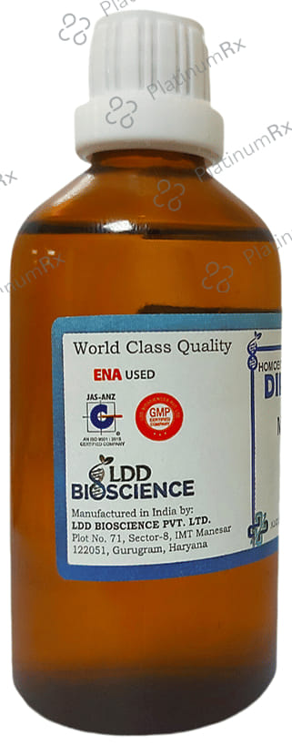 LDD Bioscience Verbascum Thapsus Dilution 1000 CH 100 ml