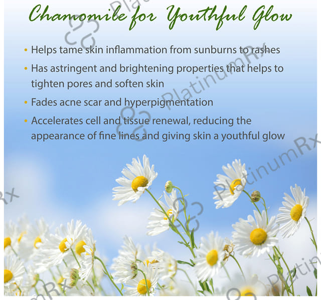 Maxisoft Natural Chamomile Bathing Bar (75gm Each) 6 units