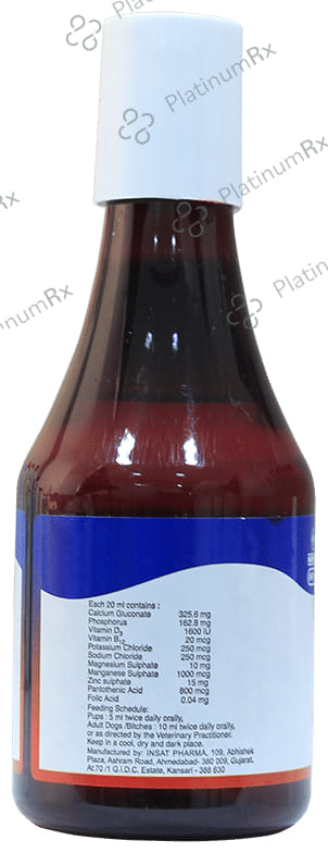 Intacal Pet Syrup 200 ml