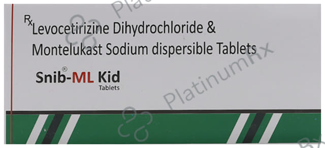 Snibml Kid Tablet DT 10s