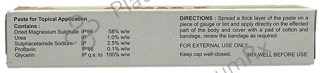 ADPL Admag-P Paste 20 gm