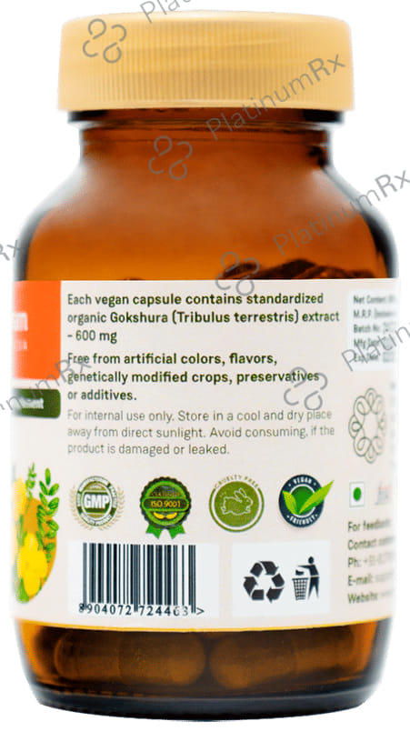 Sitaram Ayurveda Gokshura Capsule