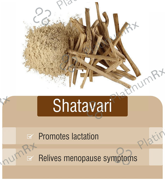 Jain Shatavari (Asparagus Racemosus) Powder 1 kg