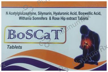 Boscat Tablet