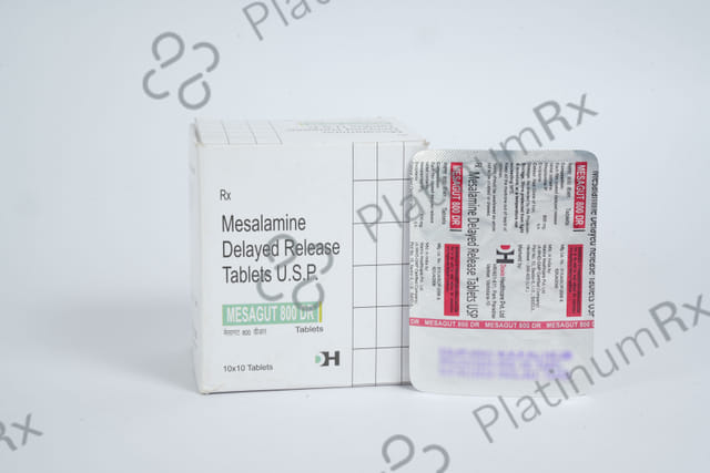 Mesagut 800mg Tablet DR 10s