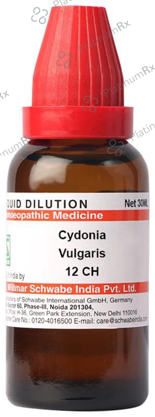 Dr Willmar Schwabe India Cydonia Vulgaris Dilution 12 CH