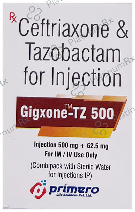 Gigxone TZ 500/62.5mg Injection 1s
