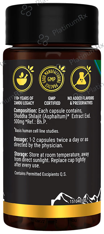 Zandu 500mg Shilajit Capsule 60s