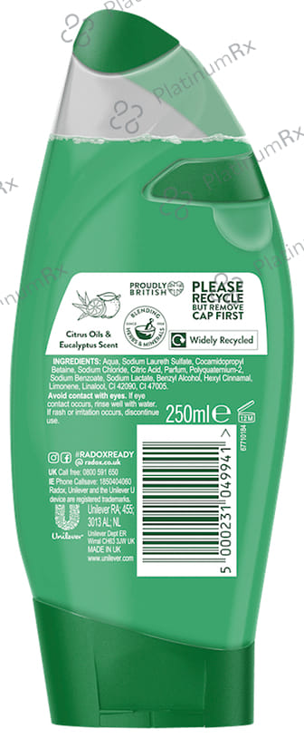 Radox Feel Energized Shower Gel